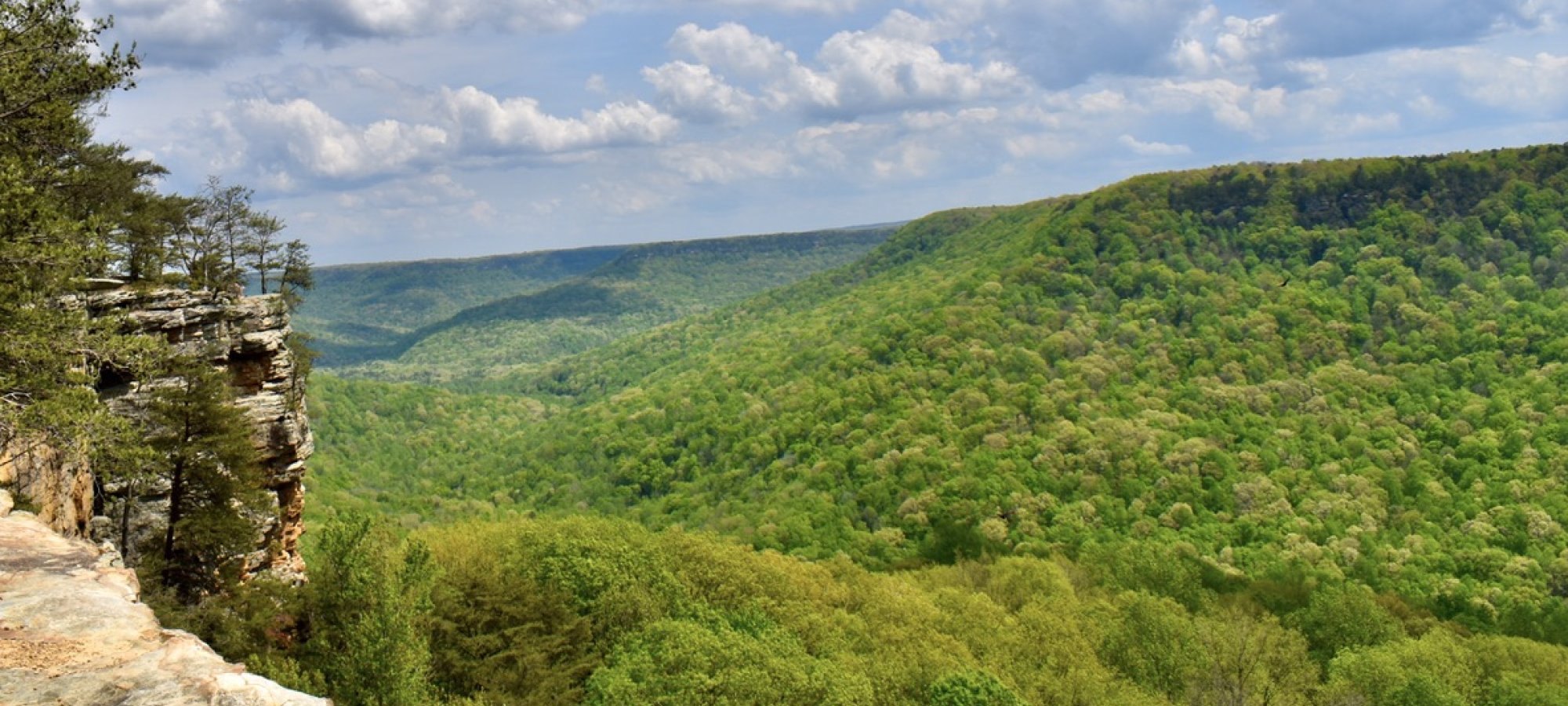Savage Gulf State Park - Beersheba Springs, Tennessee - glamping.directory