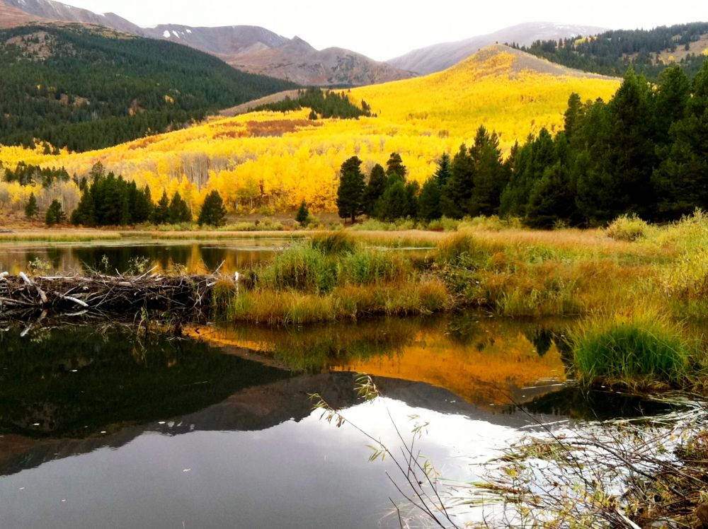 Sugar Loafin' Campground - Leadville, Colorado - glamping.directory