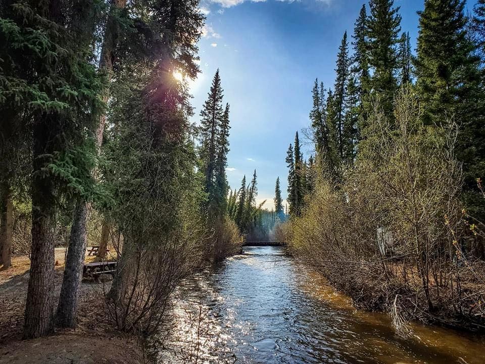 Tolsona Wilderness Campground - Glennallen, Alaska - glamping.directory