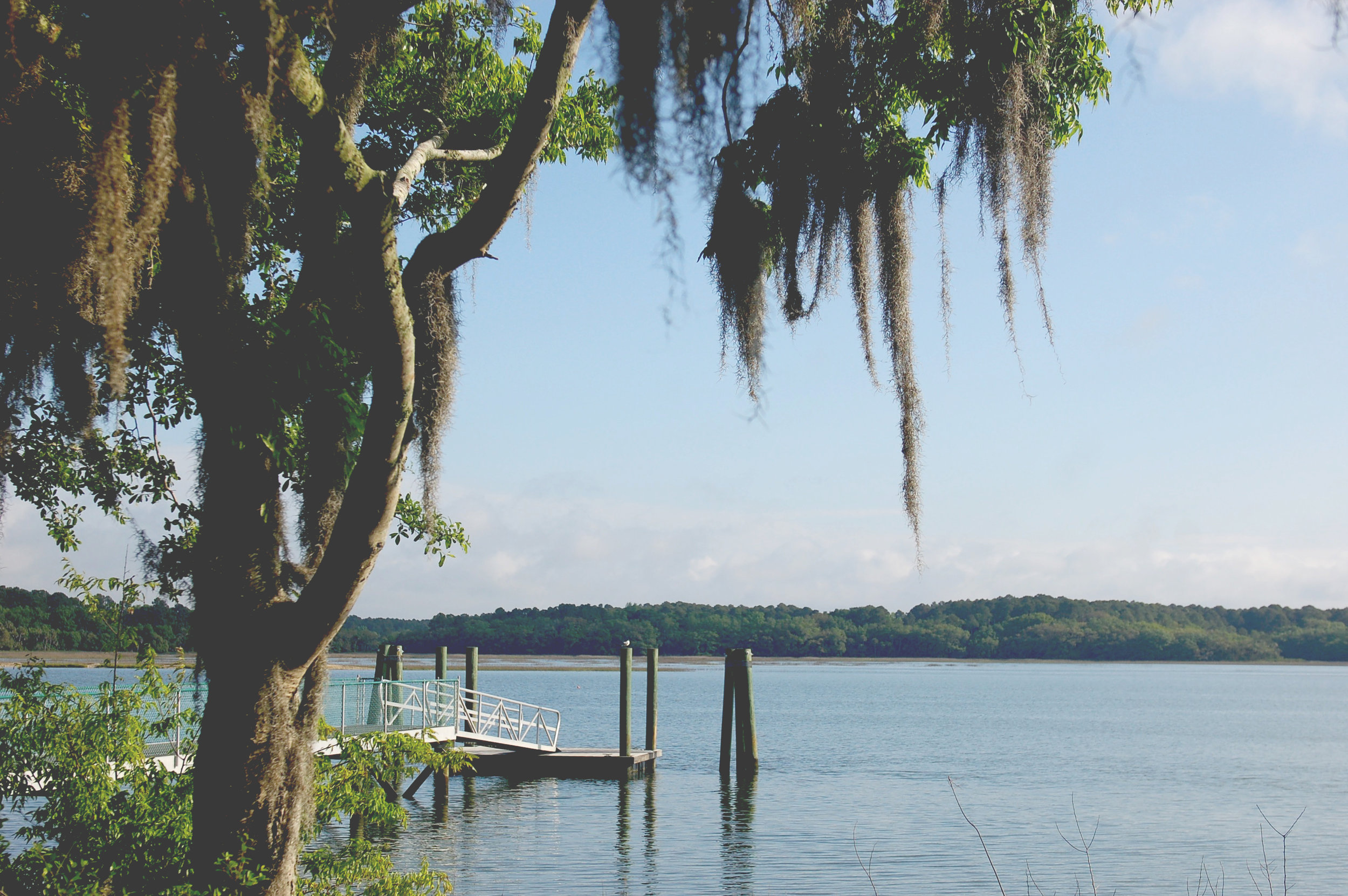 Hilton Head Harbor RV Resort - Hilton Head Island, South Carolina - glamping.directory