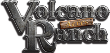 Volcano Acres Ranch - Volcano, Hawaii - glamping.directory