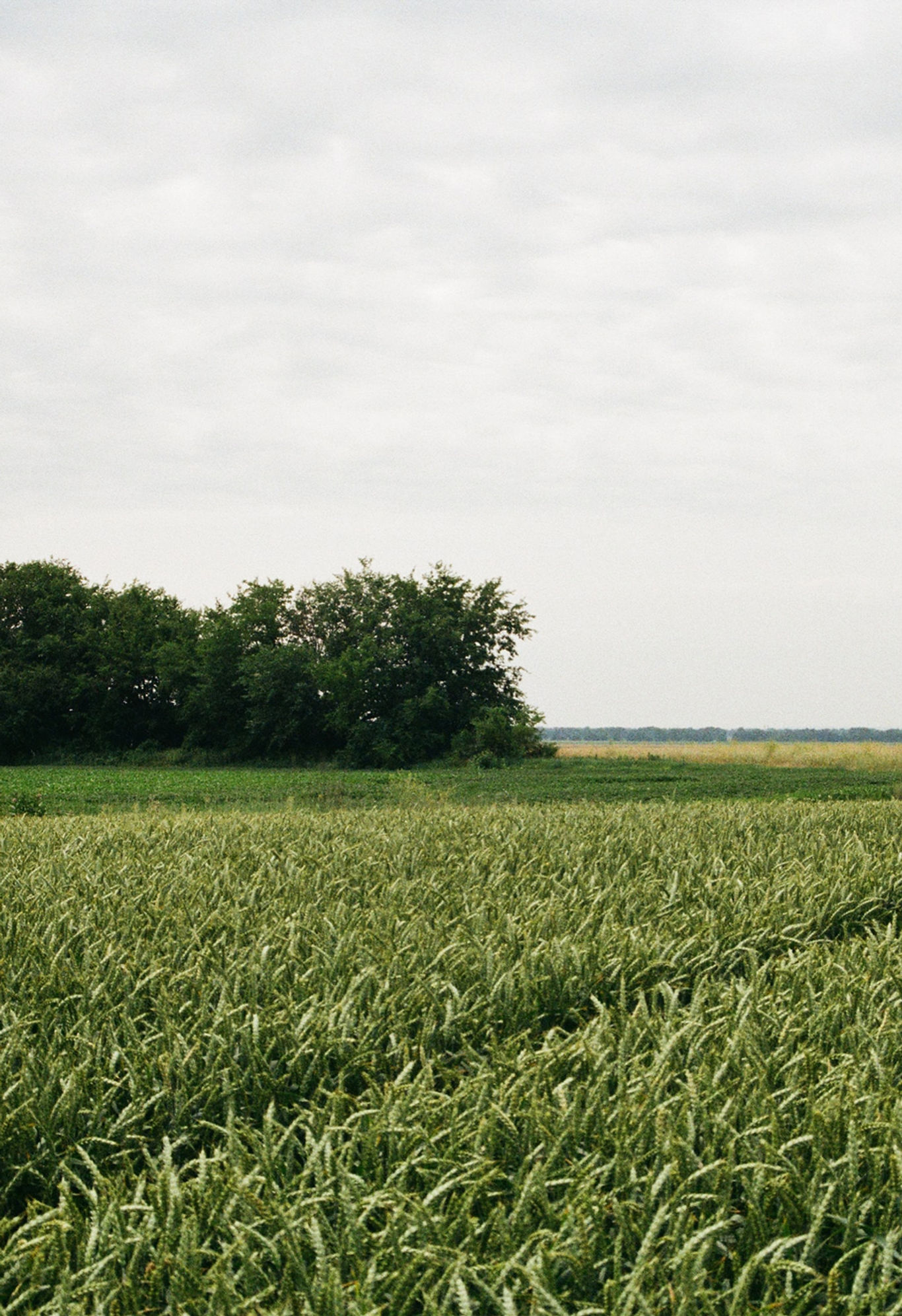 Set In Stone Cabins and RV Park - Lucas, Kansas - glamping.directory