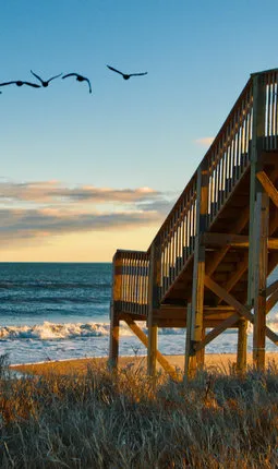 Cabin Creek Campground - Jacksonville, North Carolina - glamping.directory