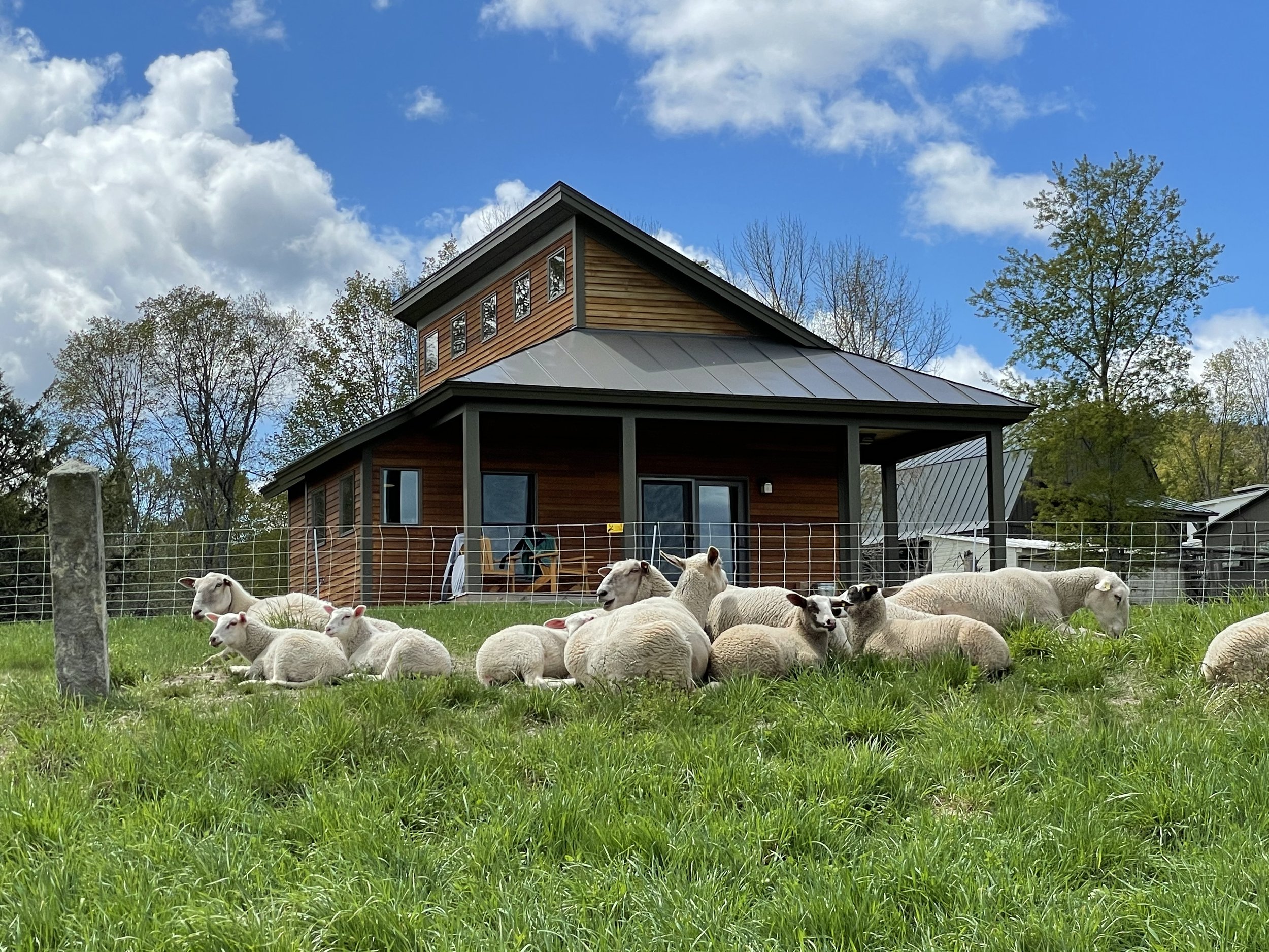 Fat Sheep Farm & Cabins - West Windsor, Vermont - glamping.directory