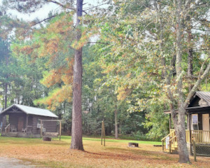 Leaning Pines Campground and Cabins - Sylvania, Georgia - glamping.directory
