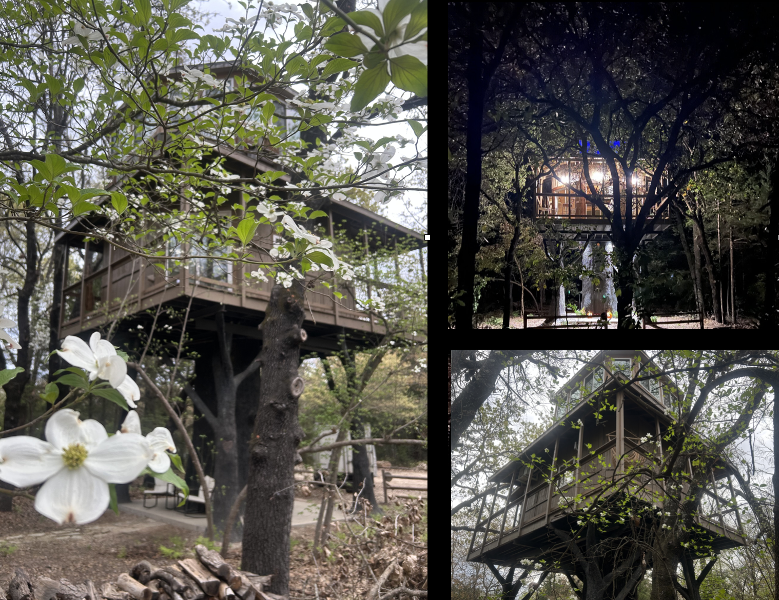 Moon Honey Treehouse - glamping.directory