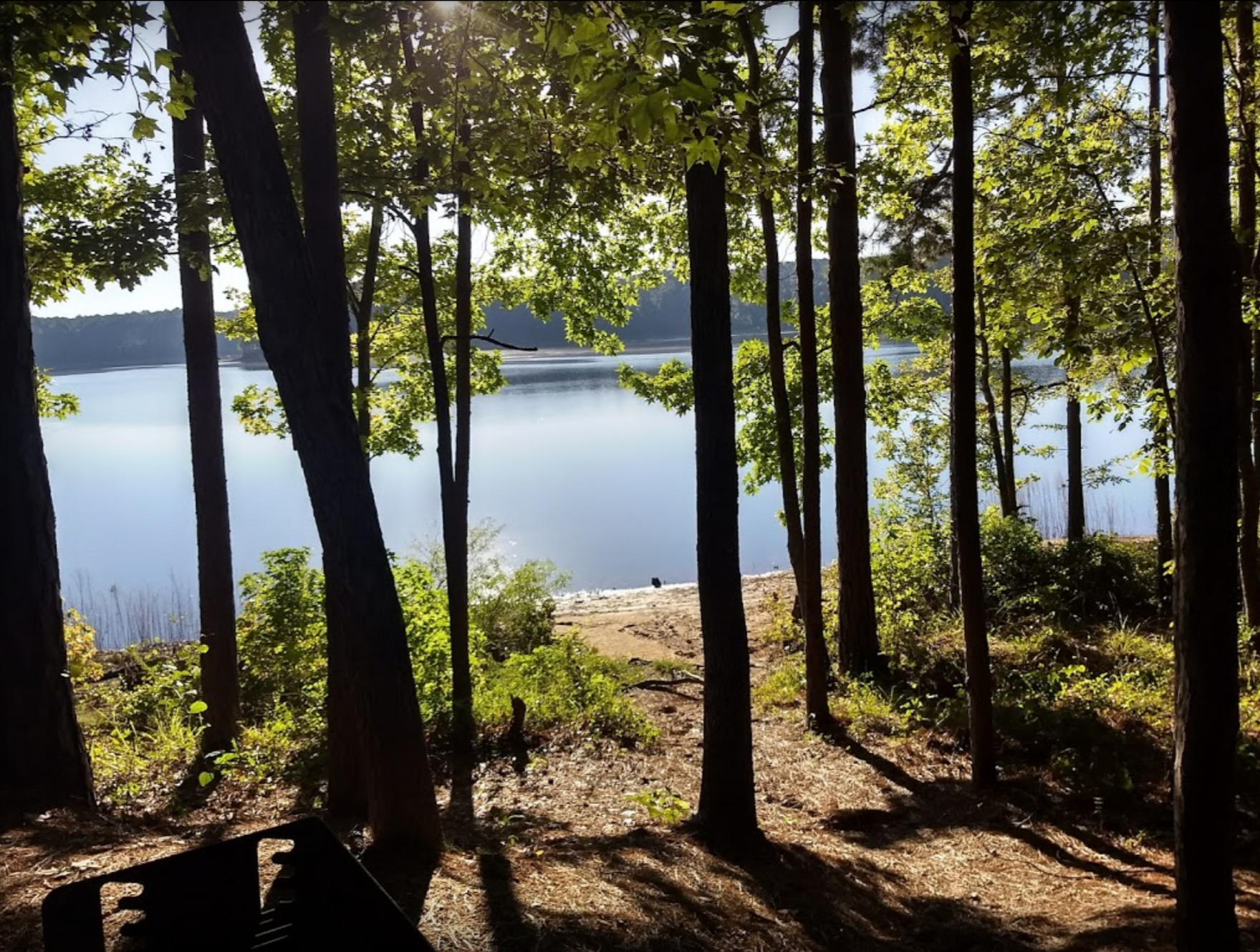 Big Hart Campground - Thomson, Georgia - glamping.directory
