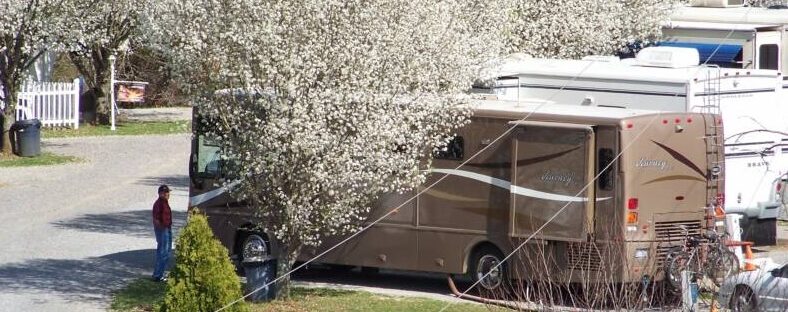 Blue Moon RV Park - Athens, Tennessee - glamping.directory