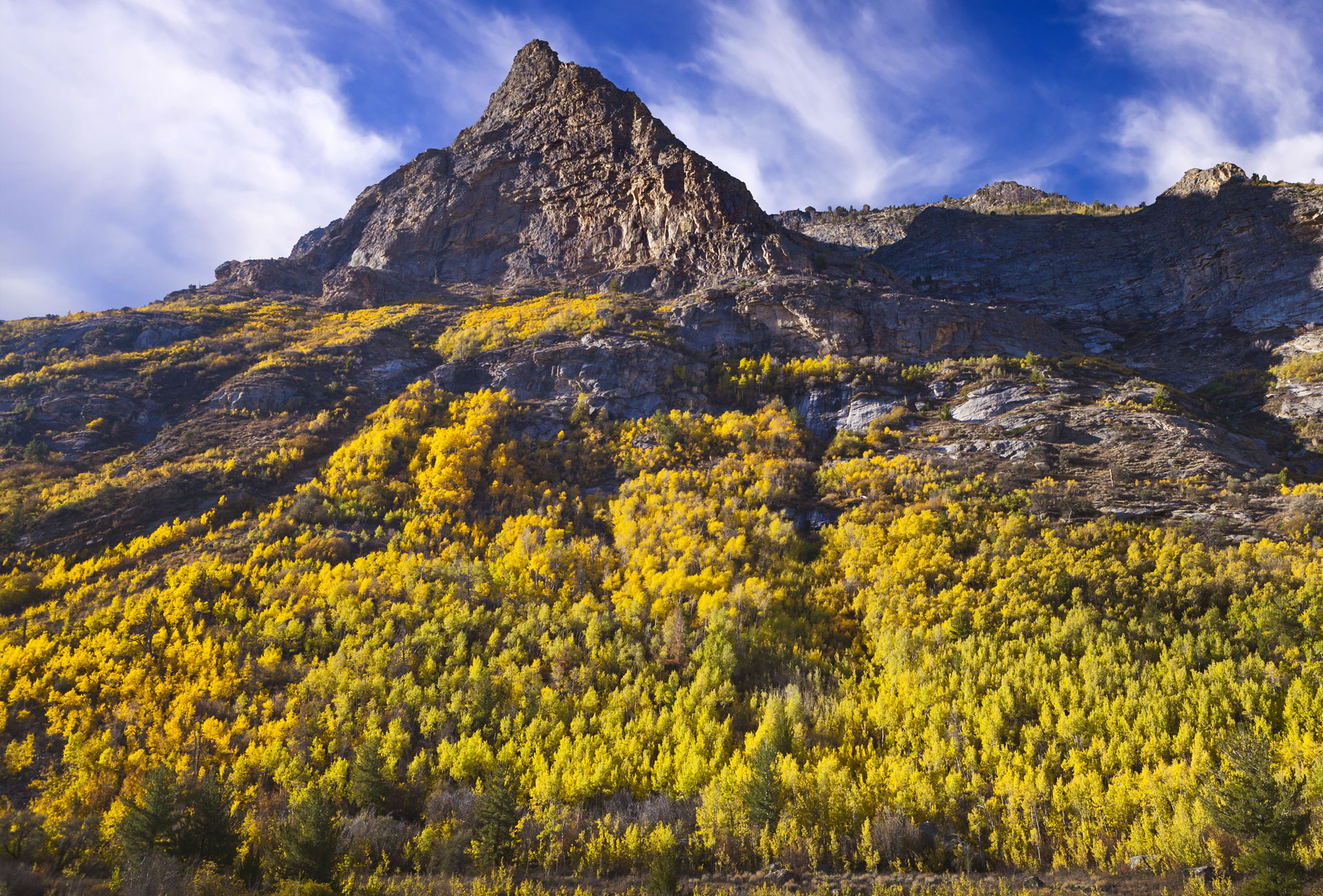 Iron Horse RV Park - Elko, Nevada - glamping.directory