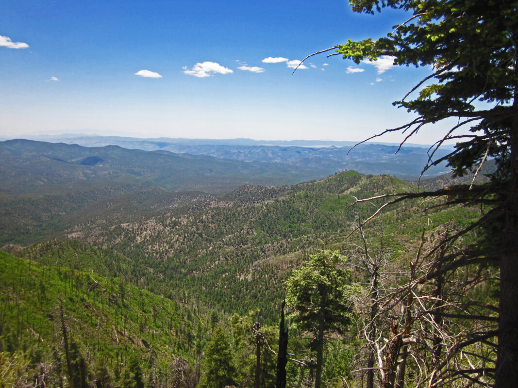 Fort Tuthill County Campground - Flagstaff, Arizona - glamping.directory