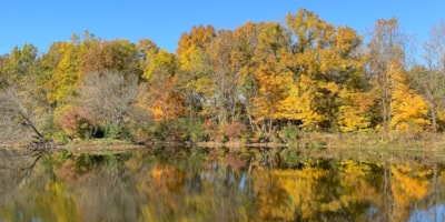 Harry L Swartz Campground - Penfield, Illinois - glamping.directory