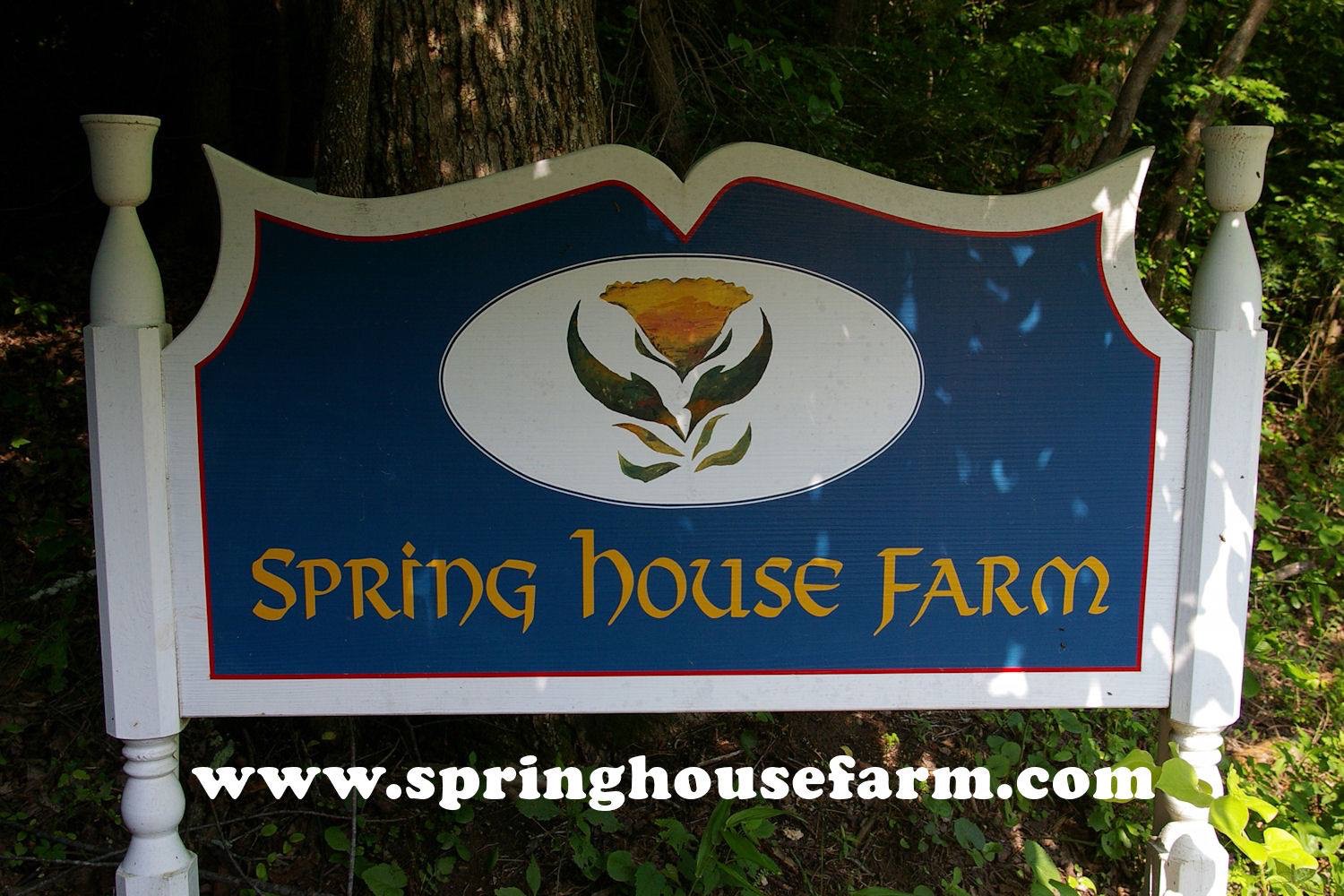 Cottages at Spring House Farm - Marion, North Carolina - glamping.directory