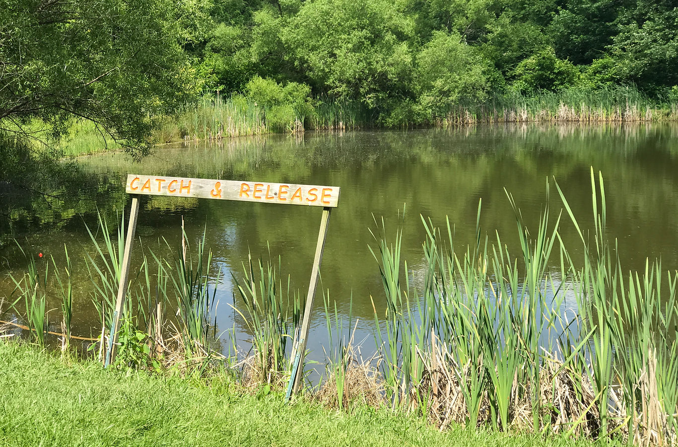 Birchview Farm Campgrounds - Coatesville, Pennsylvania - glamping.directory