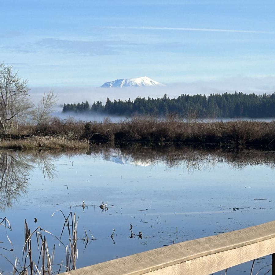 Seaquest State Park - Castle Rock, Washington - glamping.directory