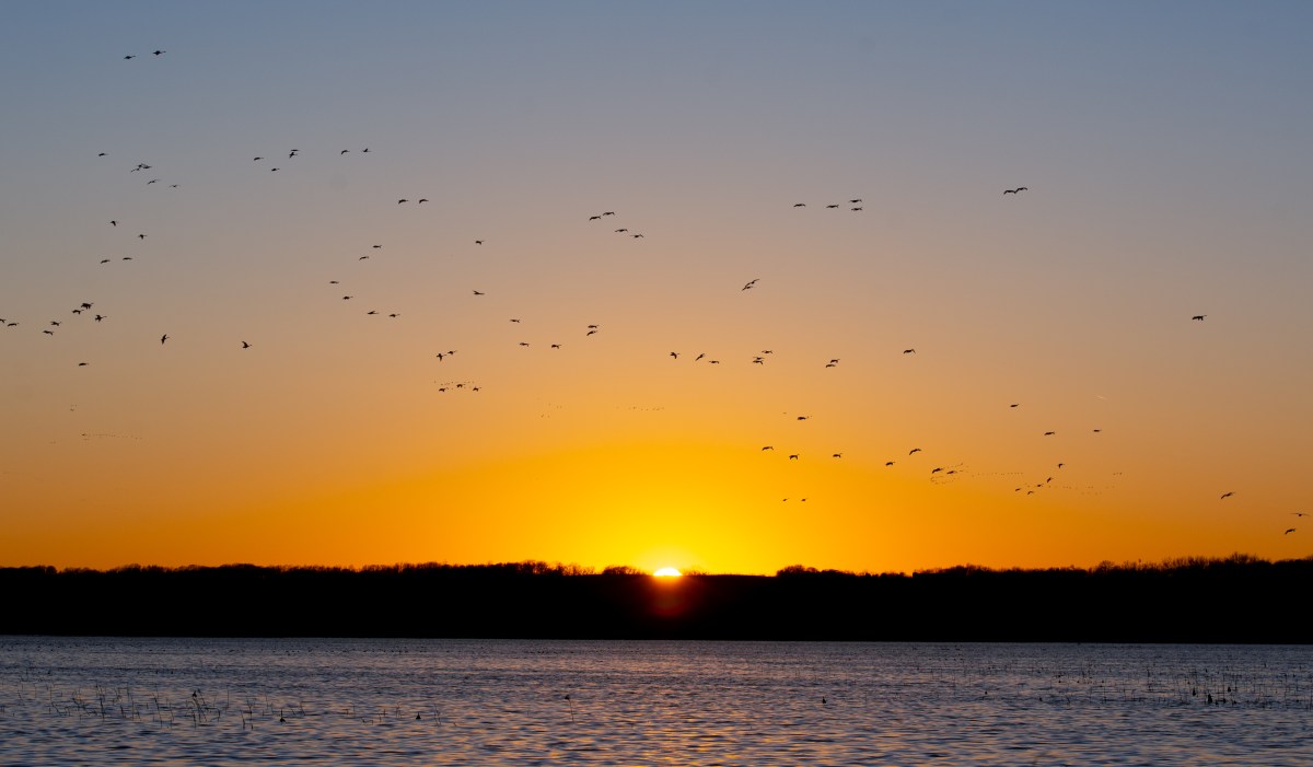 Spring Lake Campground - Savanna, Illinois - glamping.directory