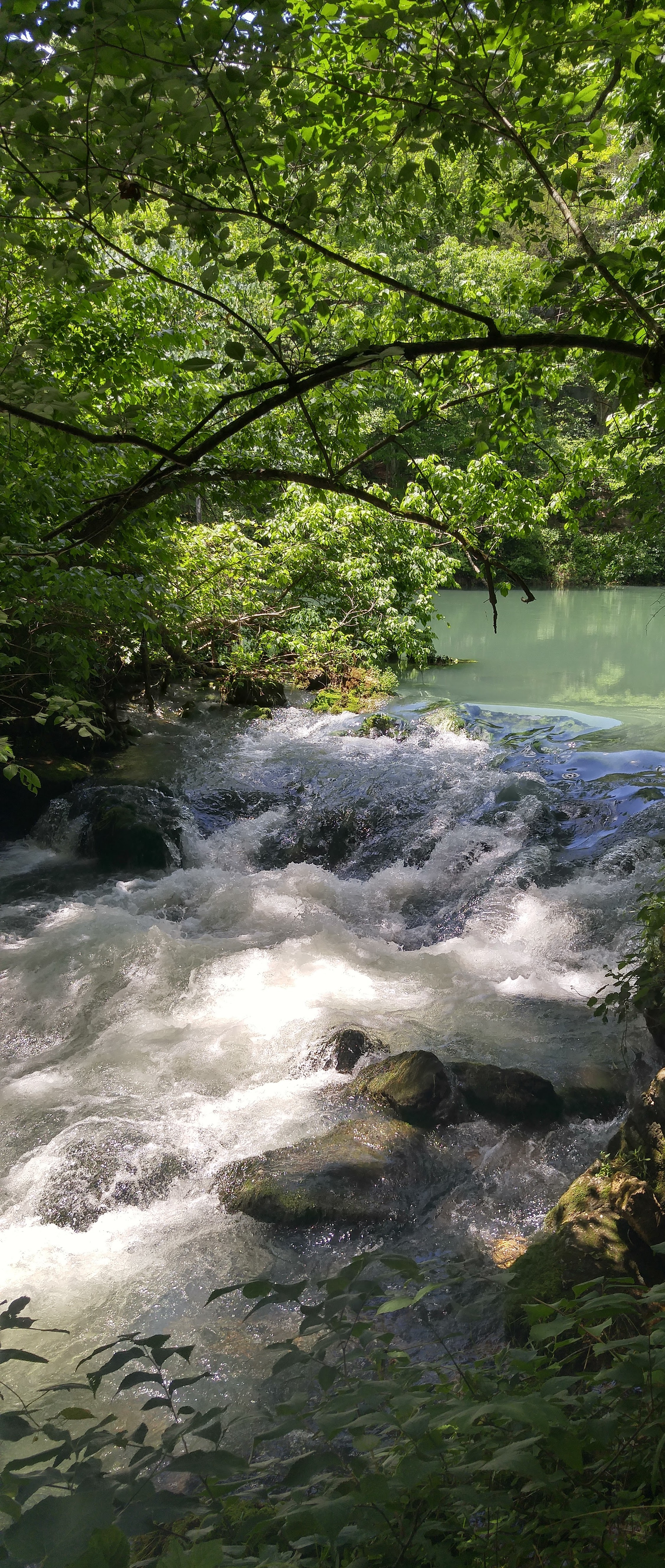 Captain Jack's Campground & RV Park, LLC - Summersville, Missouri - glamping.directory