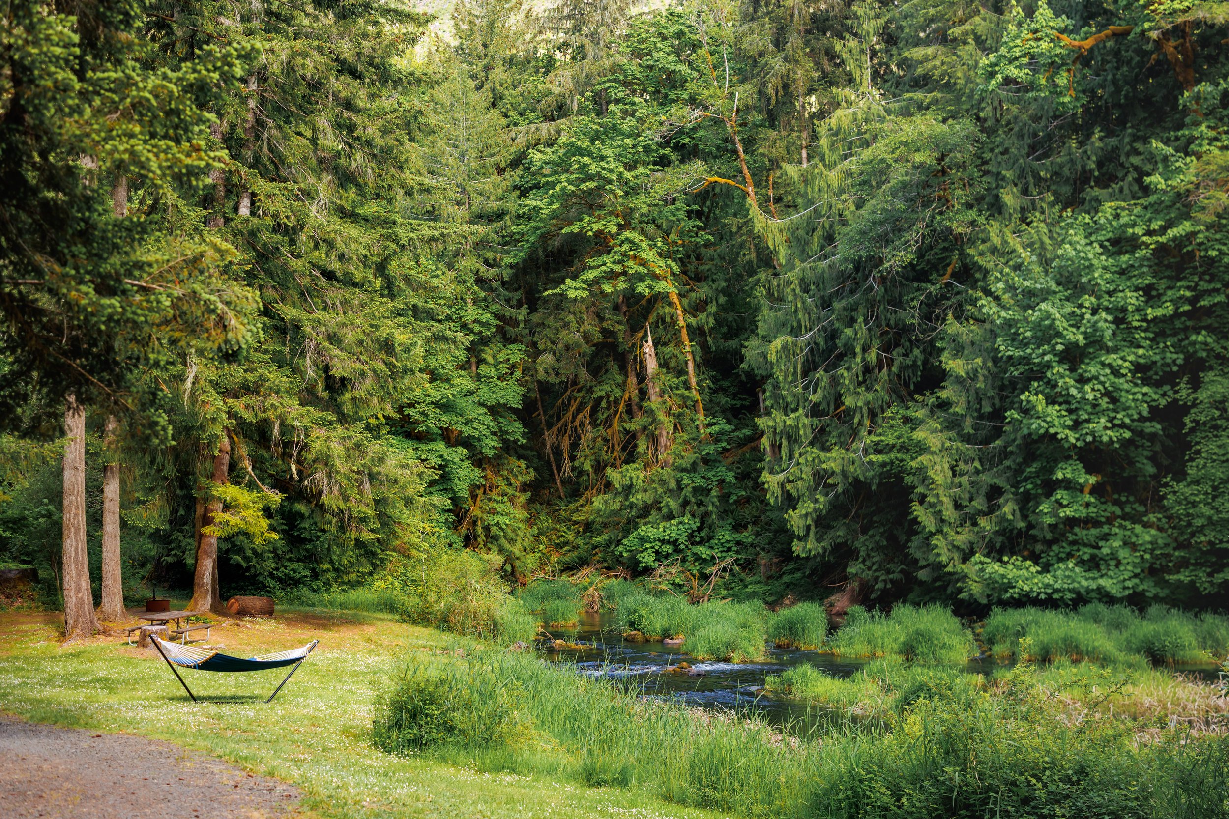 Creekside Retreat at Triangle Lake - Blachly, Oregon - glamping.directory