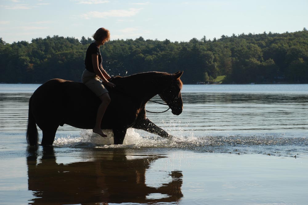 Wallis Cove Cabins - Douglas, Massachusetts - glamping.directory