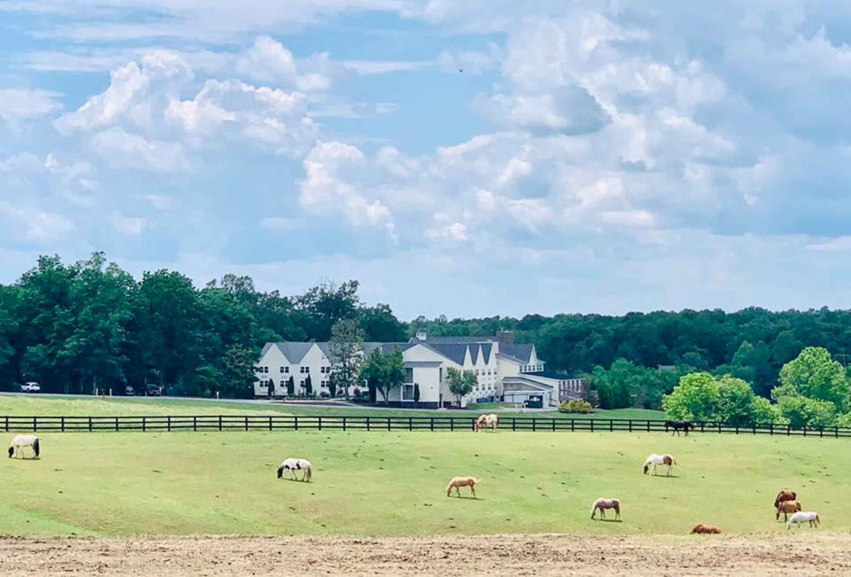 Shenandoah Crossing Cabins & RV Resort - Gordonsville, Virginia - glamping.directory
