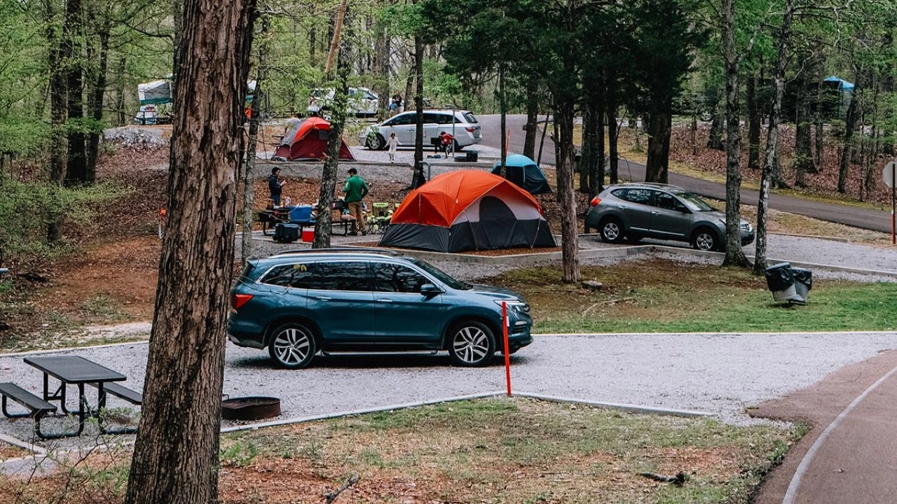 Mousetail Campground - Parsons, Tennessee - glamping.directory