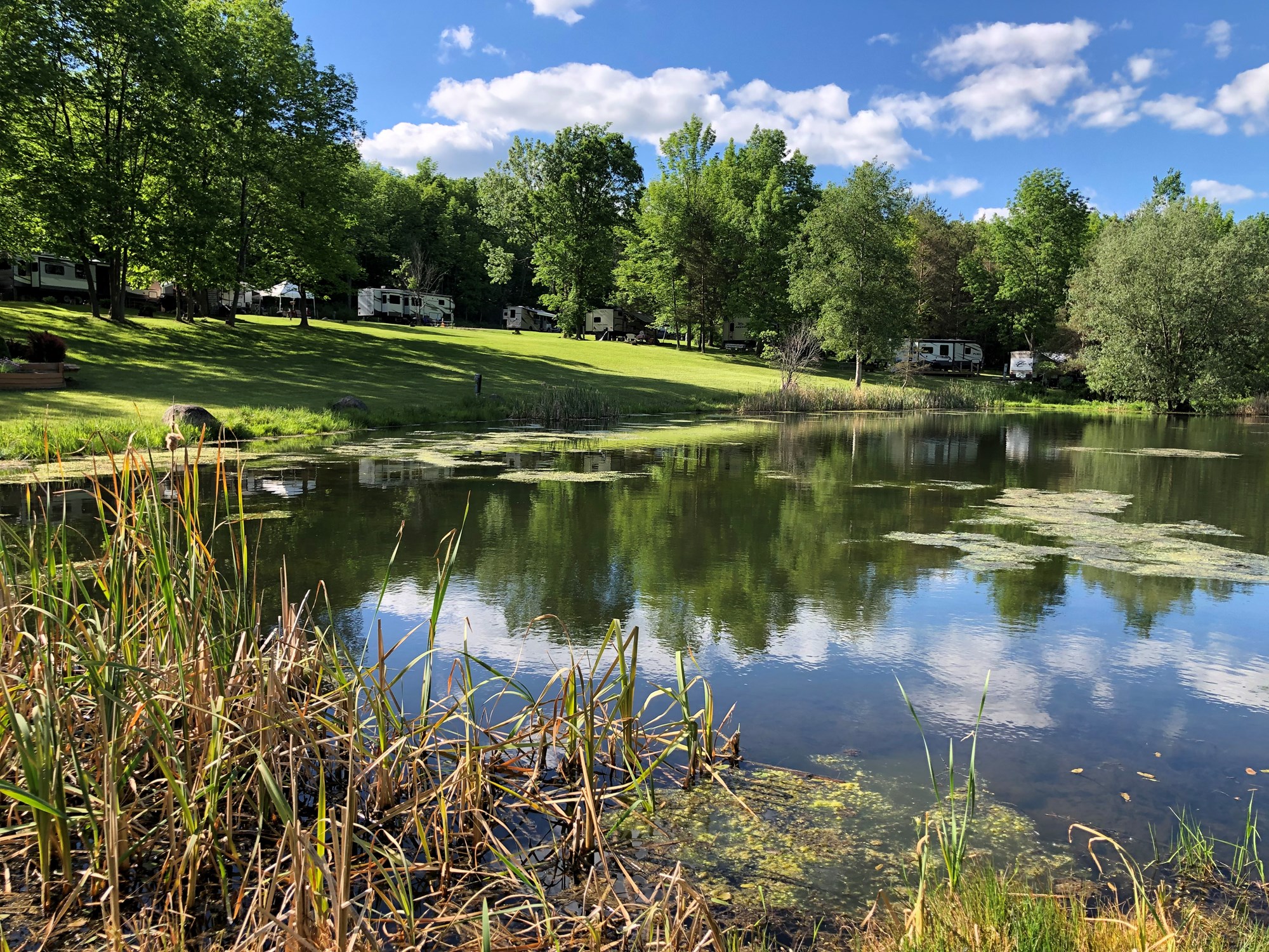 Houghton / Letchworth KOA - Houghton, New York - glamping.directory