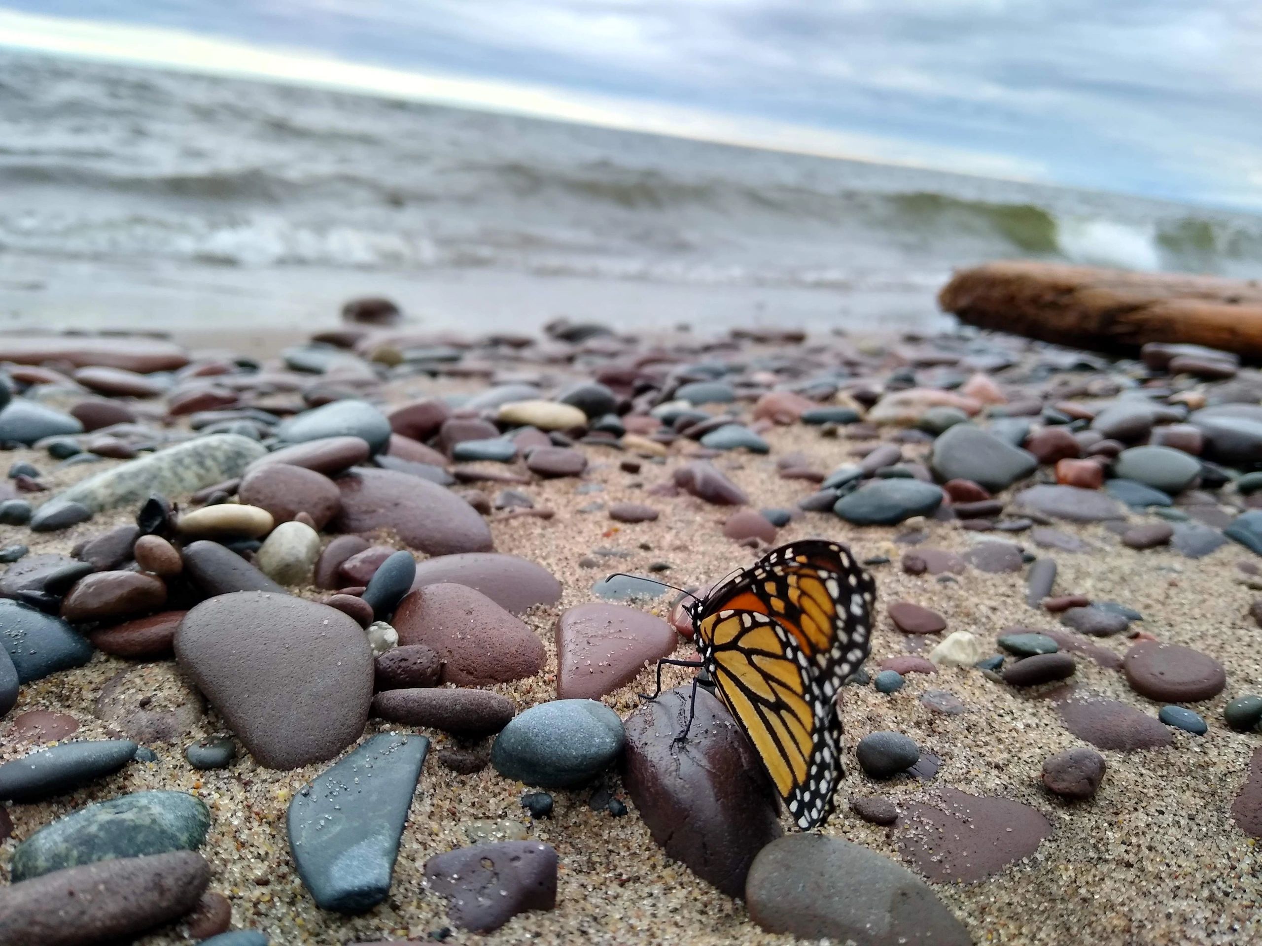 Rockhound Hideaway - Ironwood, Michigan - glamping.directory