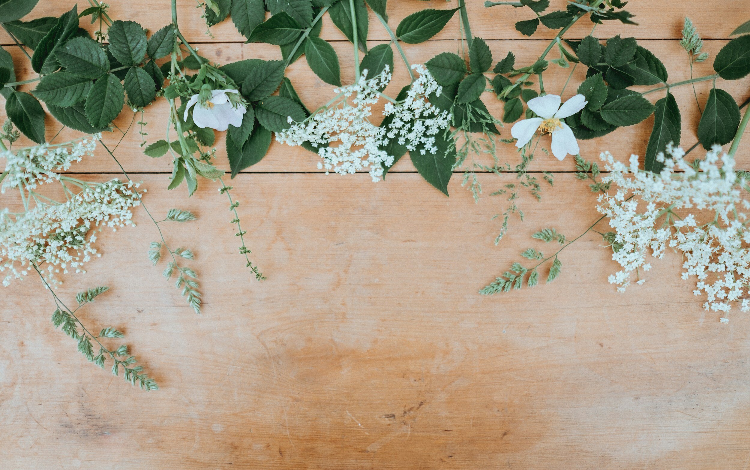 Pitch It Glamping, LLC - glamping.directory
