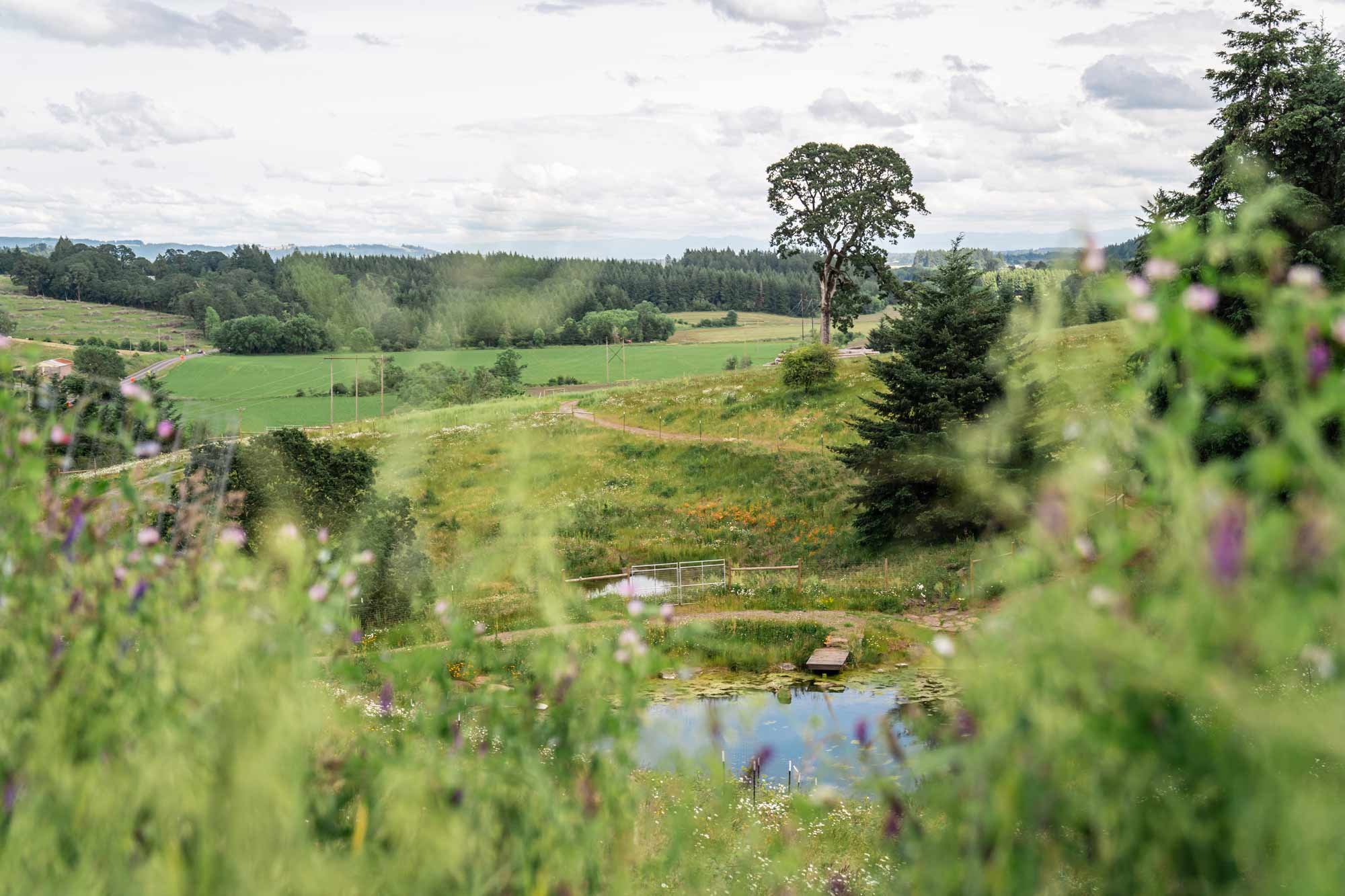 Inn the Ground - Carlton, Oregon - glamping.directory