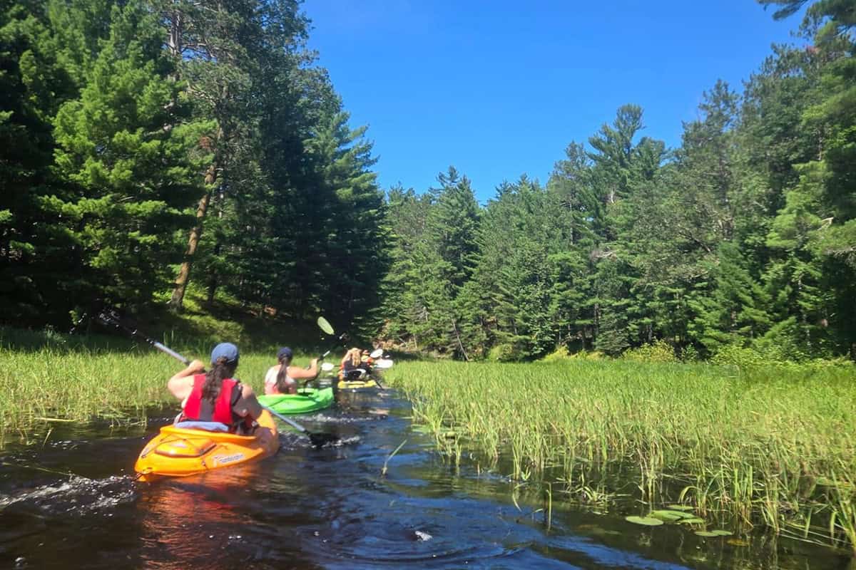 Up a Creek Campground - Fifty Lakes, Minnesota - glamping.directory