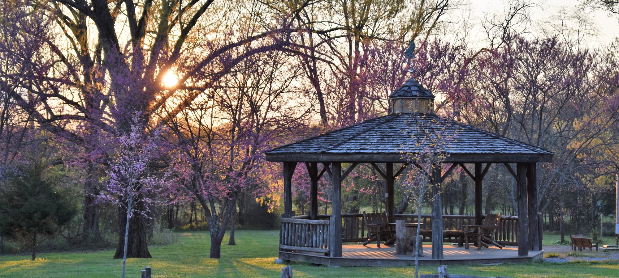 Cedars of Lebanon State Park - Lebanon, Tennessee - glamping.directory
