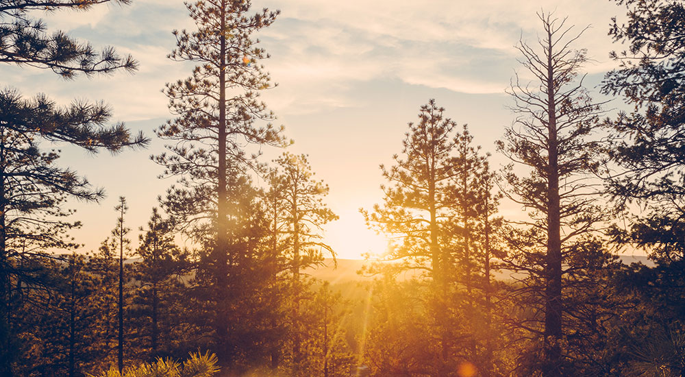 Shore Lodge - McCall, Idaho - glamping.directory