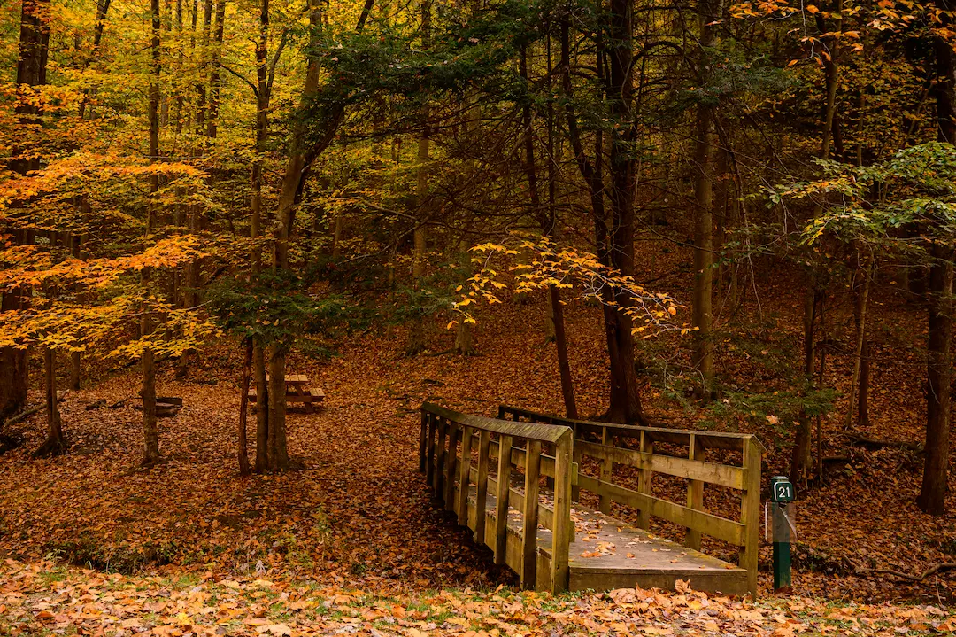 Kanawha State Forest - Charleston, West Virginia - glamping.directory