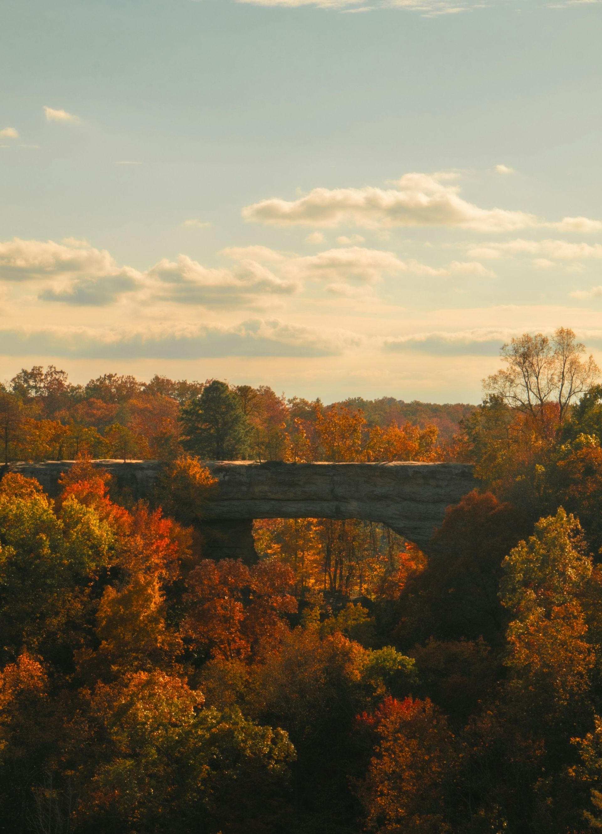 Red River Gorge Getaways - Rogers, Kentucky - glamping.directory