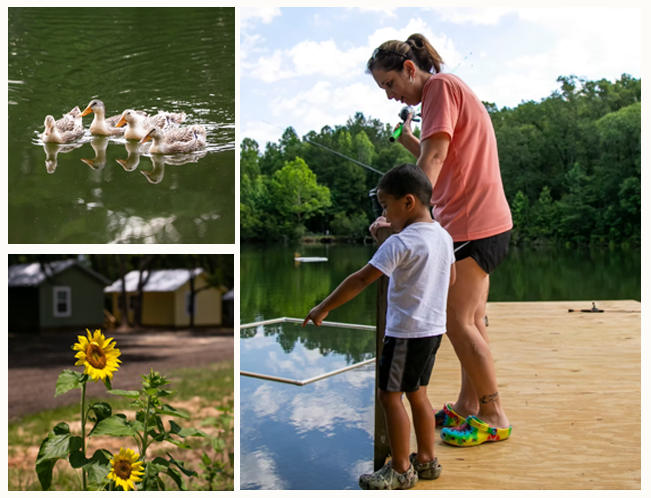 The Oaks Family RV Park & Campground - Andalusia, Alabama - glamping.directory