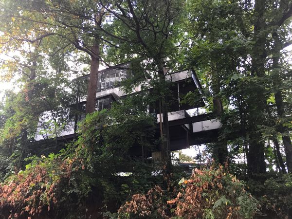 Atlanta Loft Treehouse - Atlanta, Georgia - glamping.directory