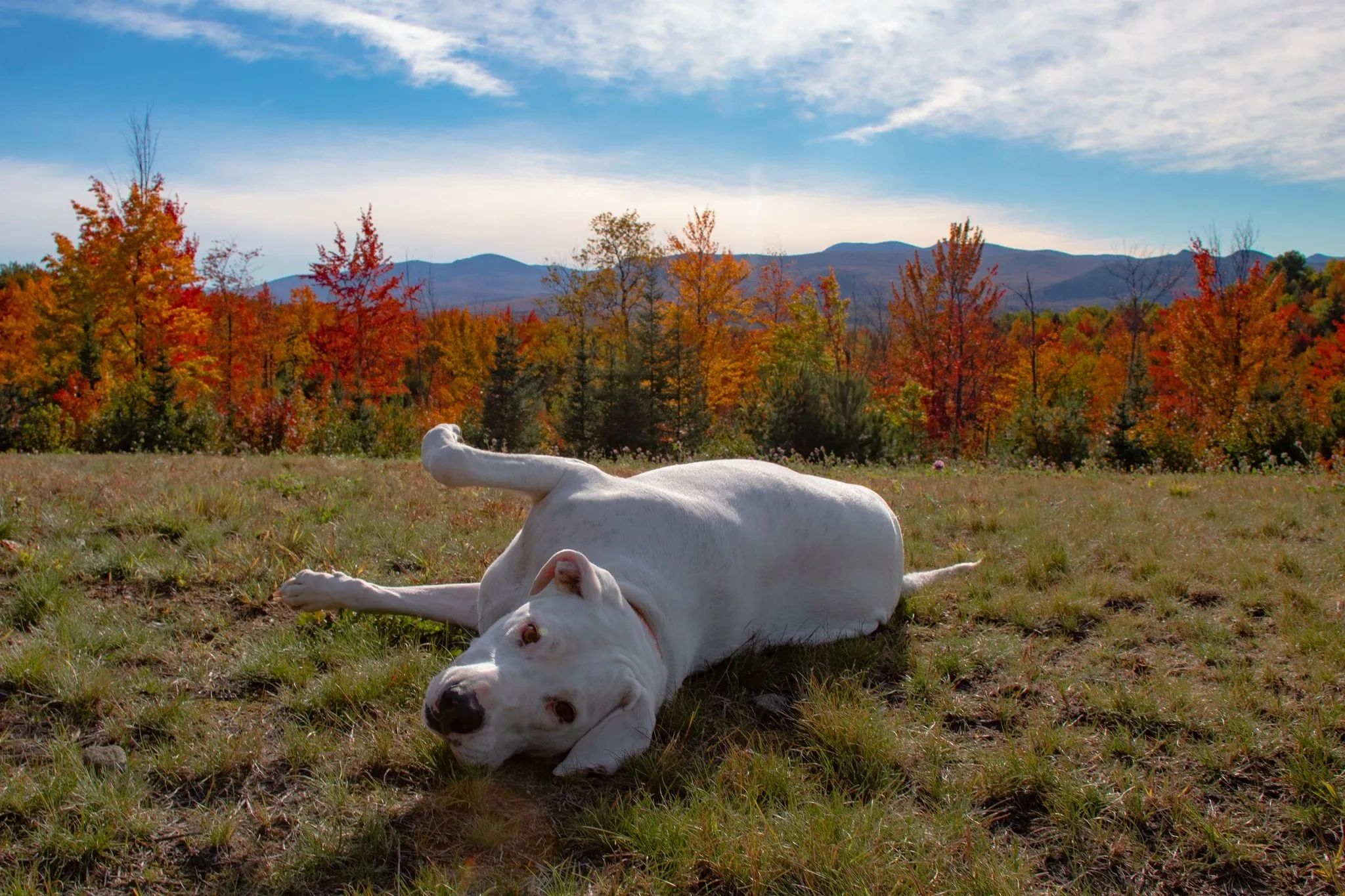 Sunshine Valley RV Park and Snack Shack - Milan, New Hampshire - glamping.directory
