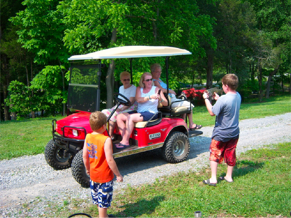 Pioneer Village RV Park - Max Meadows, Virginia - glamping.directory