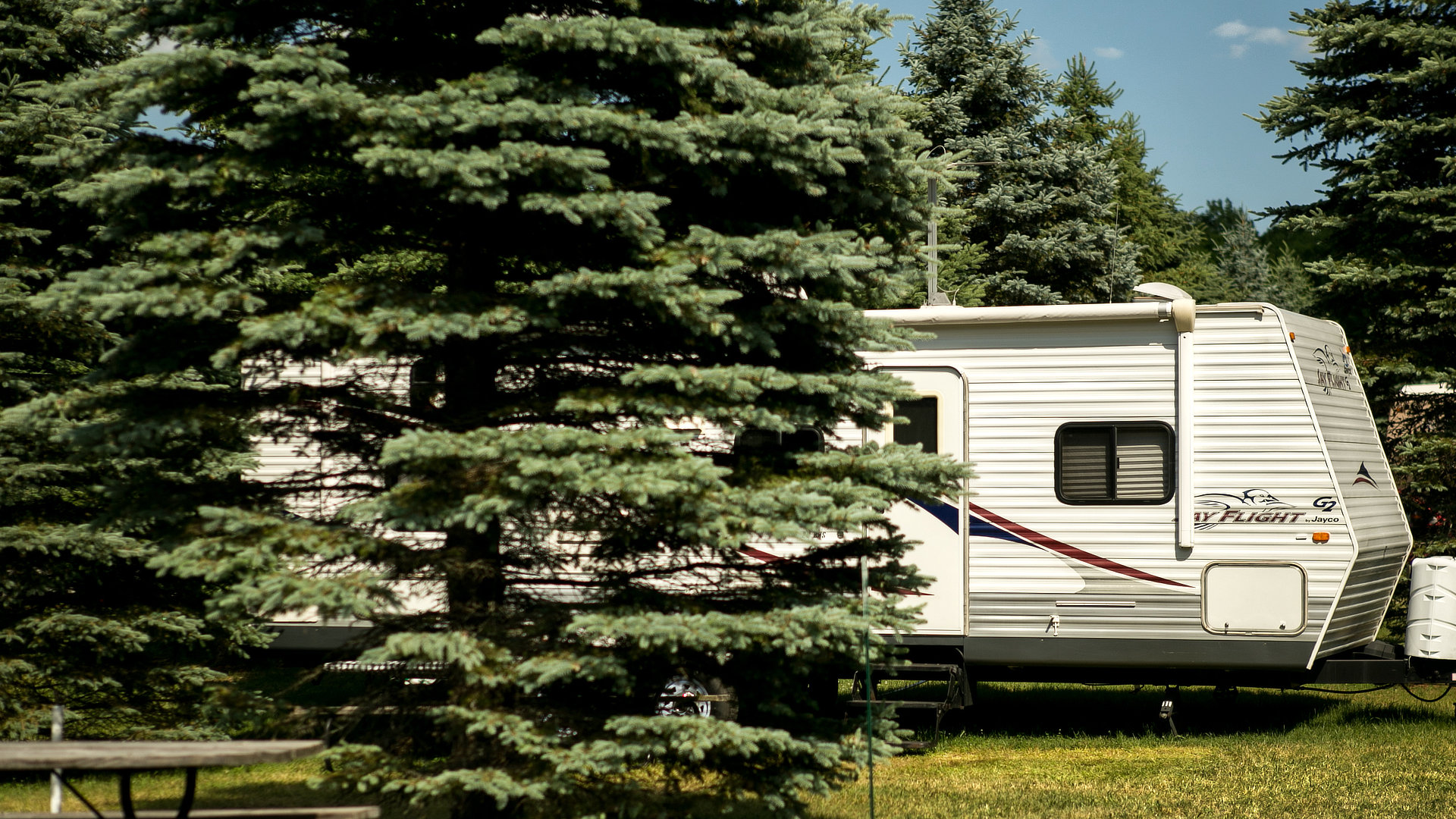 Starlight Campground and RV Park - Mancelona, Michigan - glamping.directory