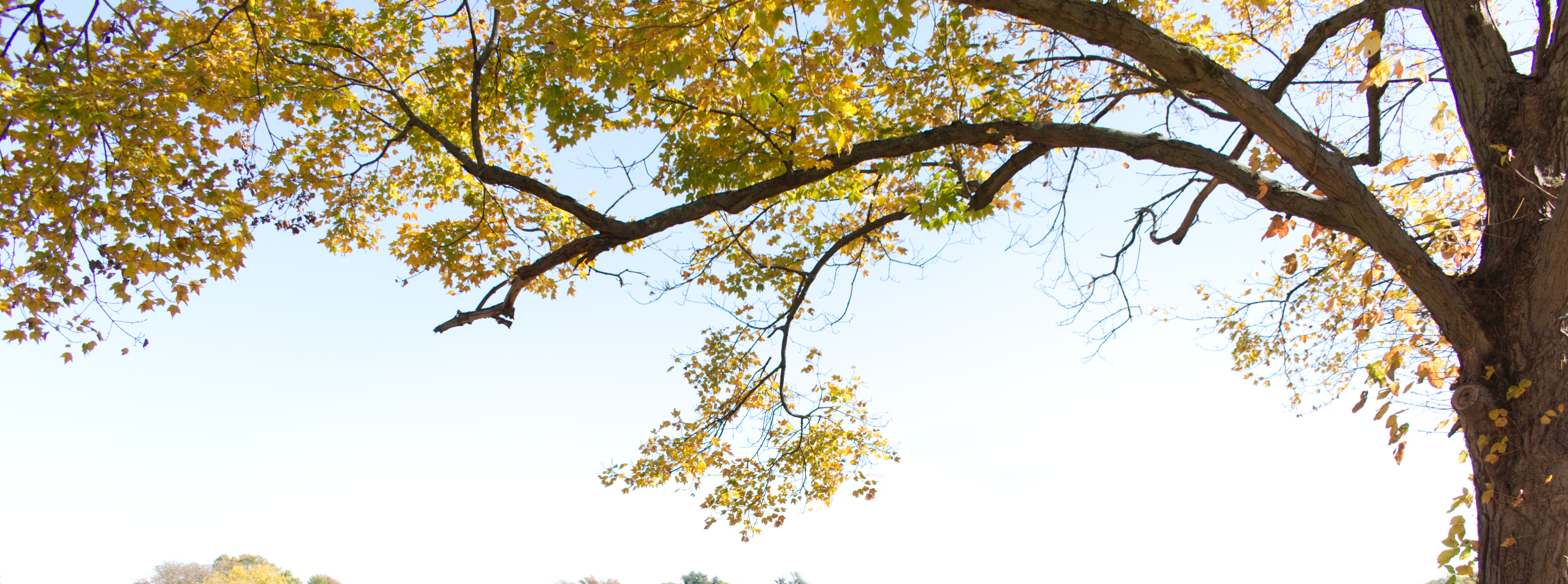 Deep Creek Campground - Perkiomenville, Pennsylvania - glamping.directory