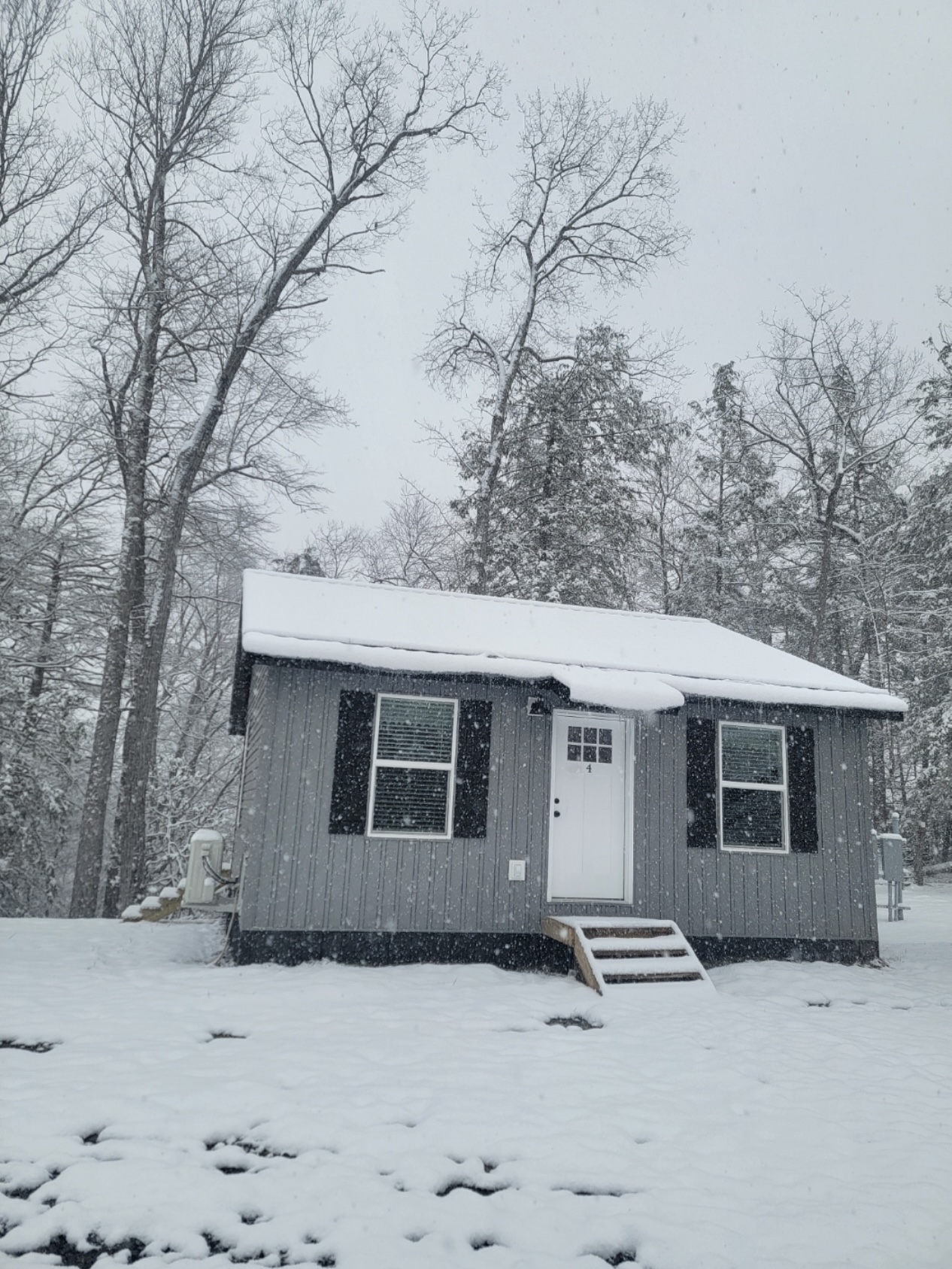 Long Point Cabins & RV - Mt Nebo, West Virginia - glamping.directory