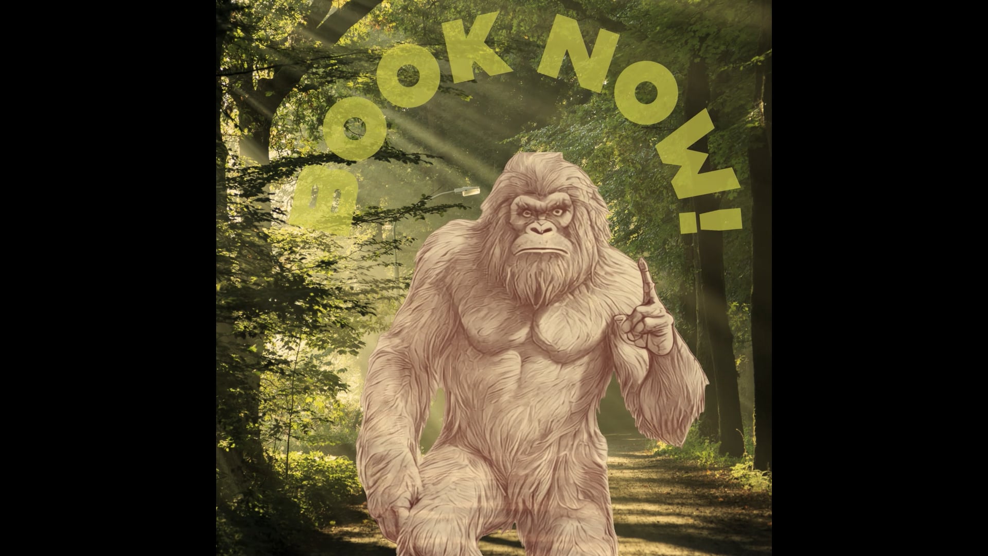 Sasquatch Farm Scenic RV Park Campground & Cabins - South Pittsburg, Tennessee - glamping.directory