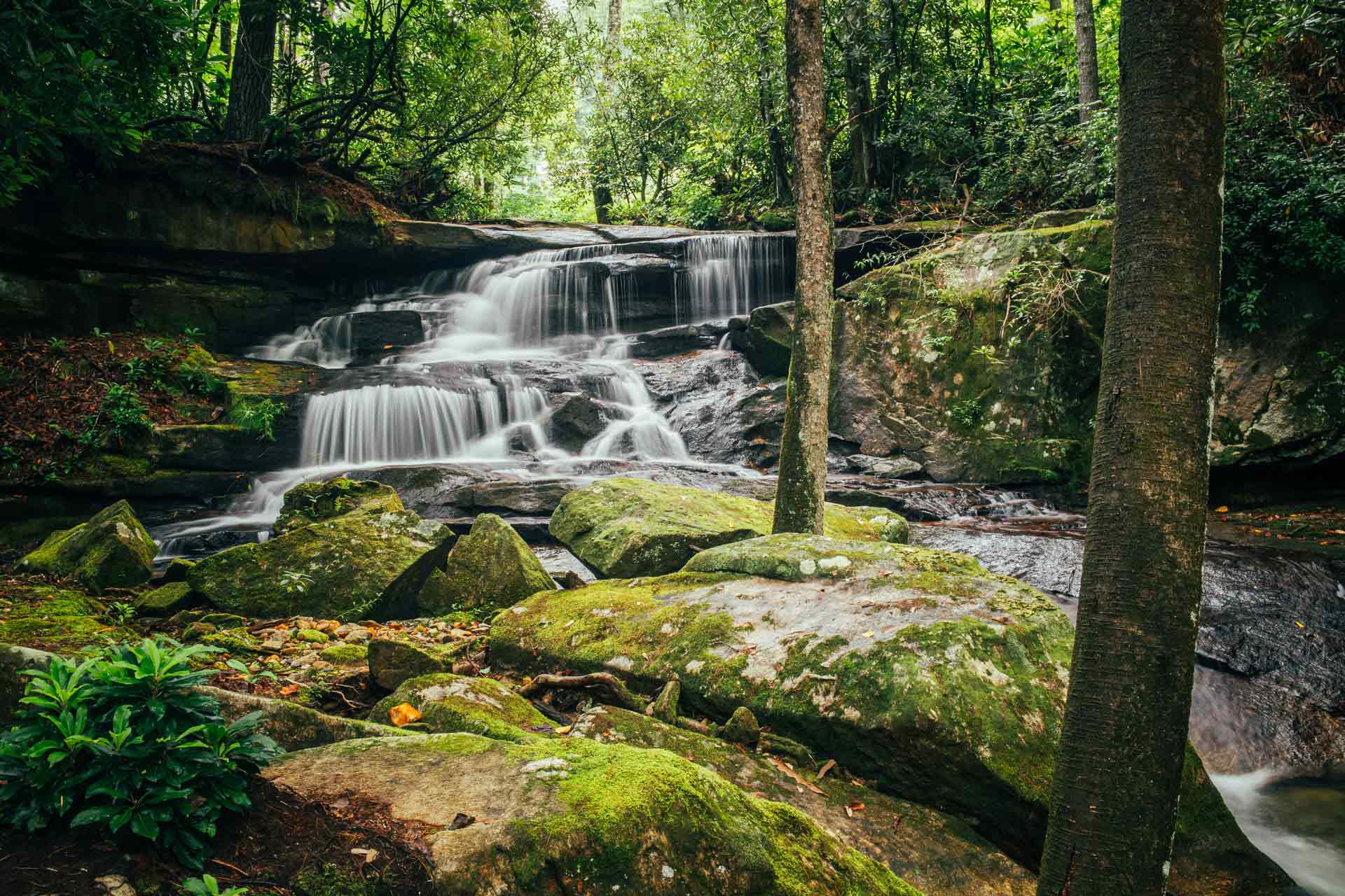 Tuxedo Falls - Zirconia, North Carolina - glamping.directory