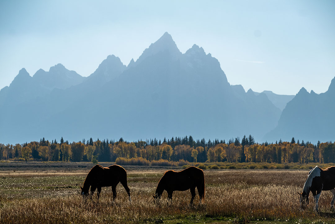 Fireside Buffalo Valley RV Park - Buffalo Valley - Moran, Wyoming - glamping.directory