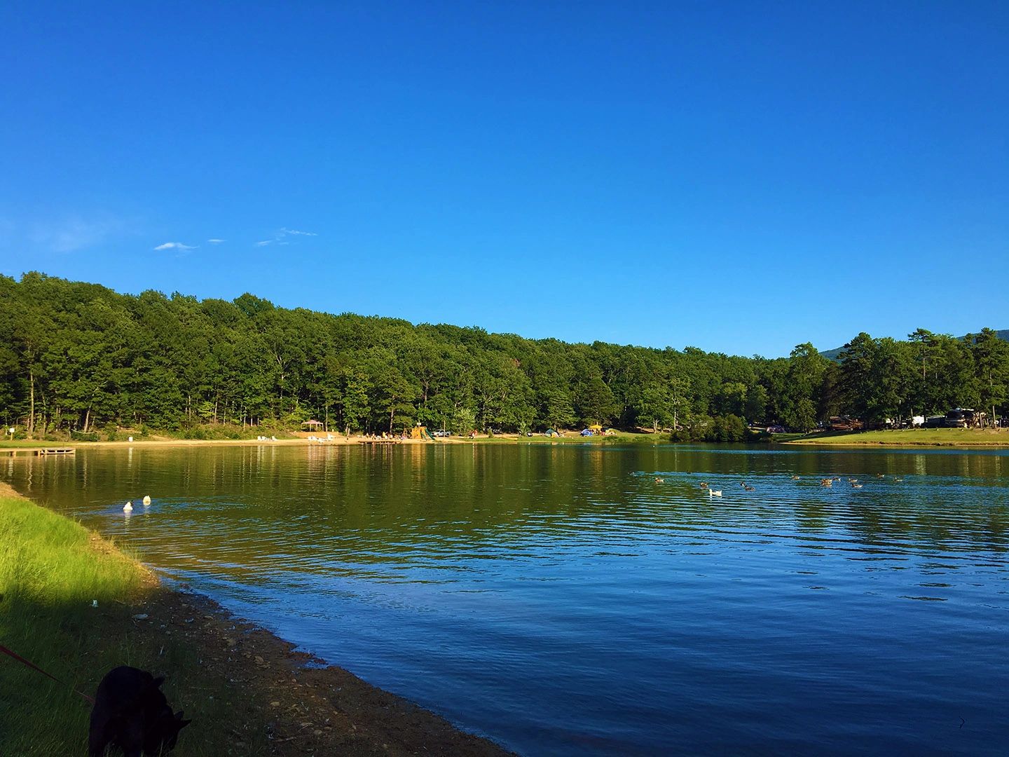 Stoney Creek Resort and Campground - Greenville, Virginia - glamping.directory