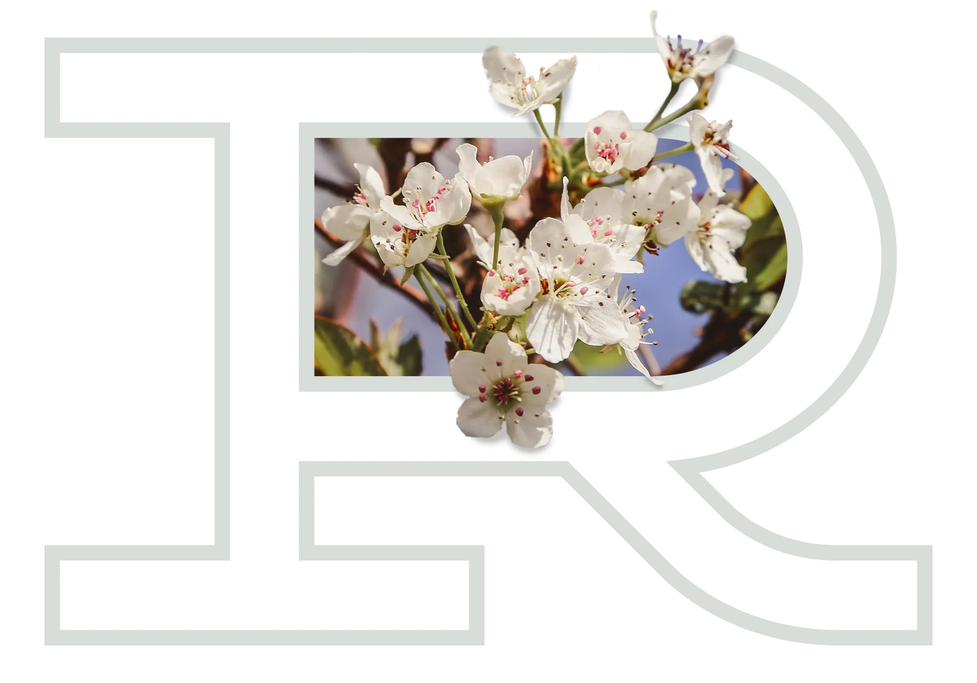 Rye Camp - Dayton, Ohio - glamping.directory