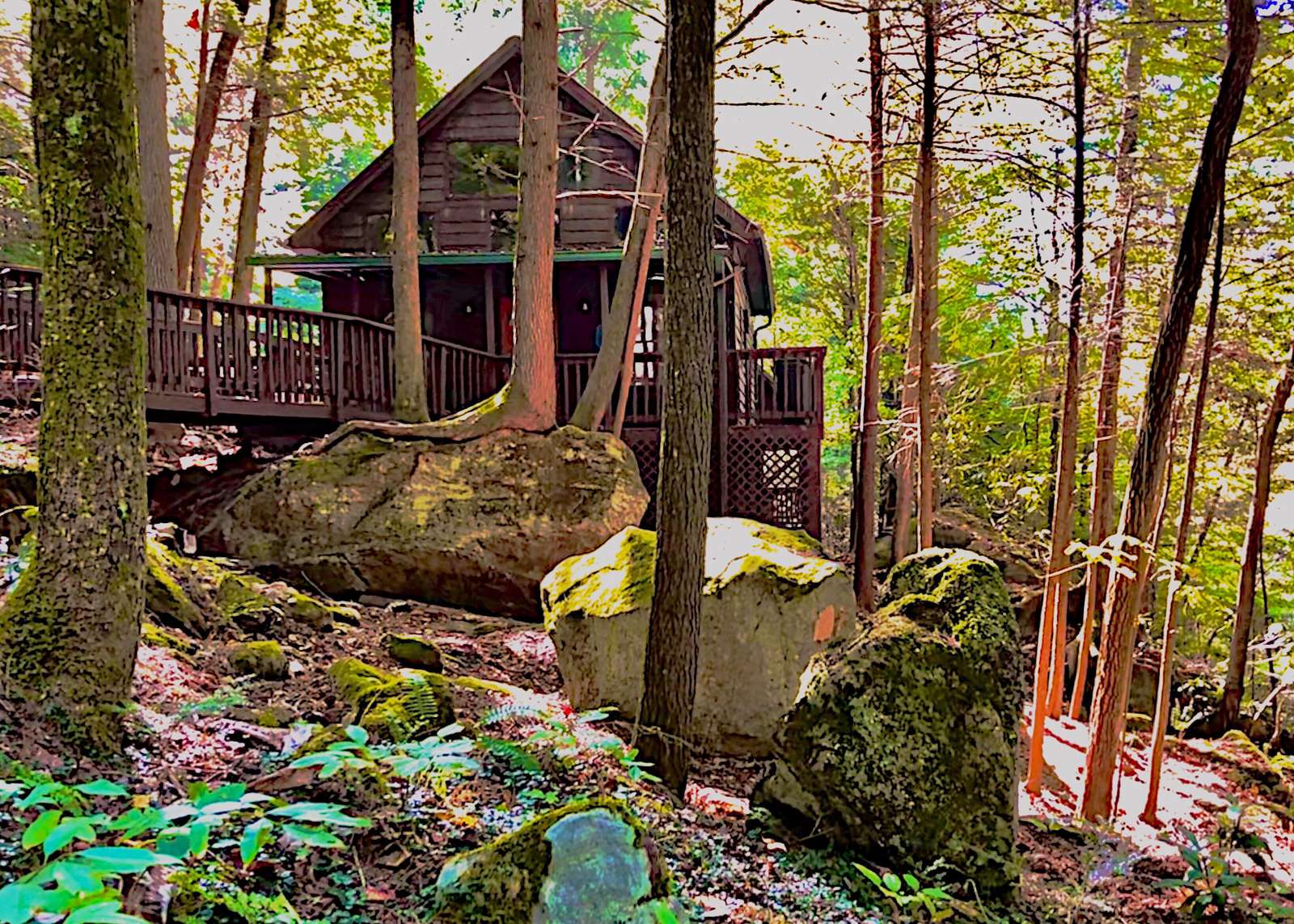 Elk Haven Cabin - Campton, Kentucky - glamping.directory