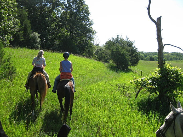 Bruin Lake Modern Campground - Gregory, Michigan - glamping.directory