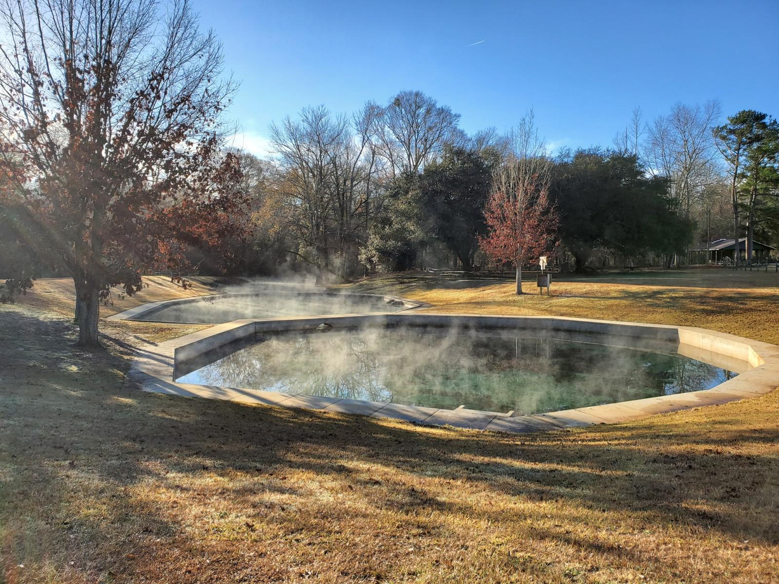 Blue Springs State Park - Clio, Alabama - glamping.directory