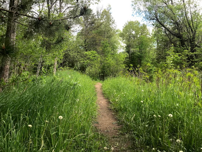 Haakwood State Forest Campground - Wolverine, Michigan - glamping.directory