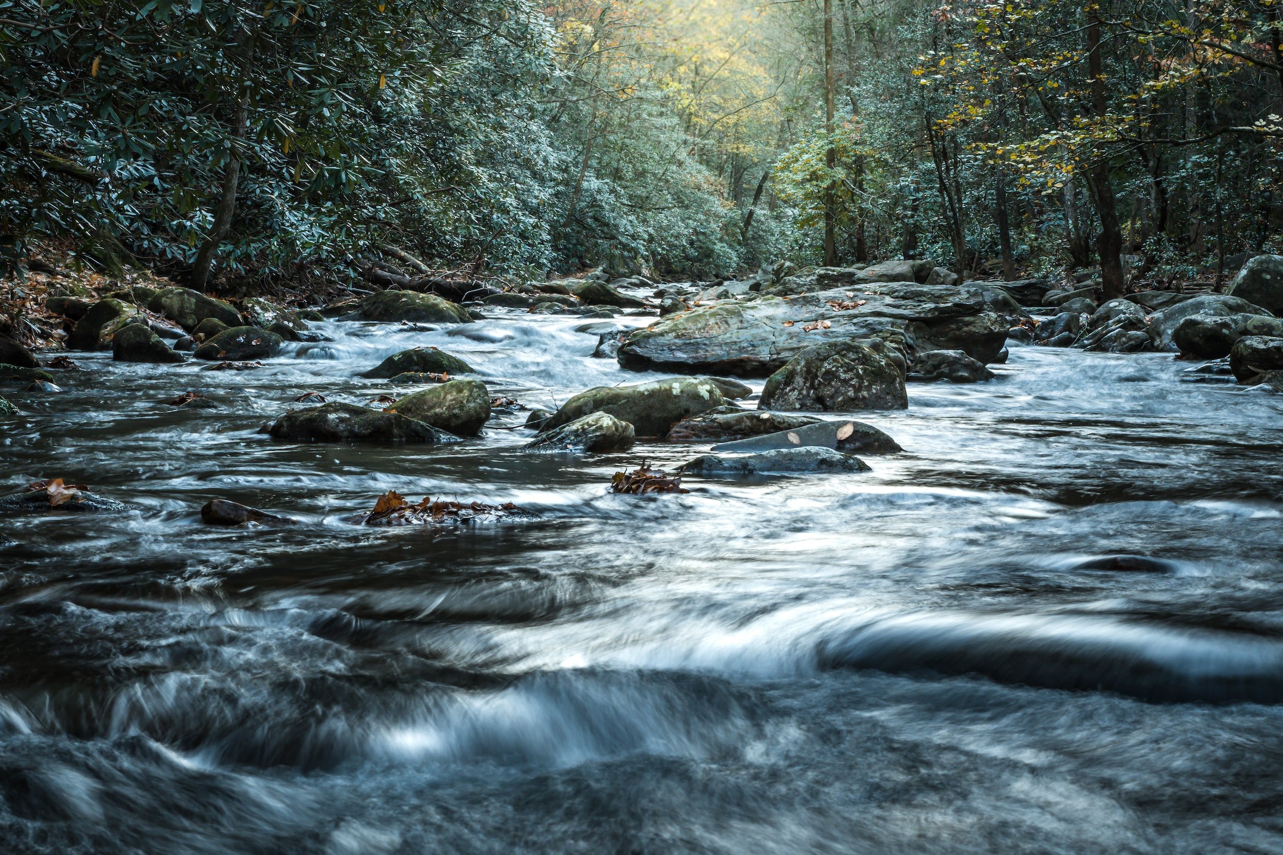 Hidden Waters RV Park, Campground & Outdoors - Robbinsville, North Carolina - glamping.directory